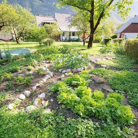 Apartman Talaj 'ma Hut